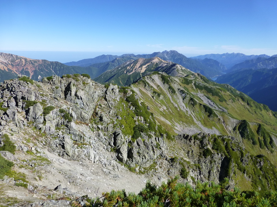 P1100859_mid.jpg