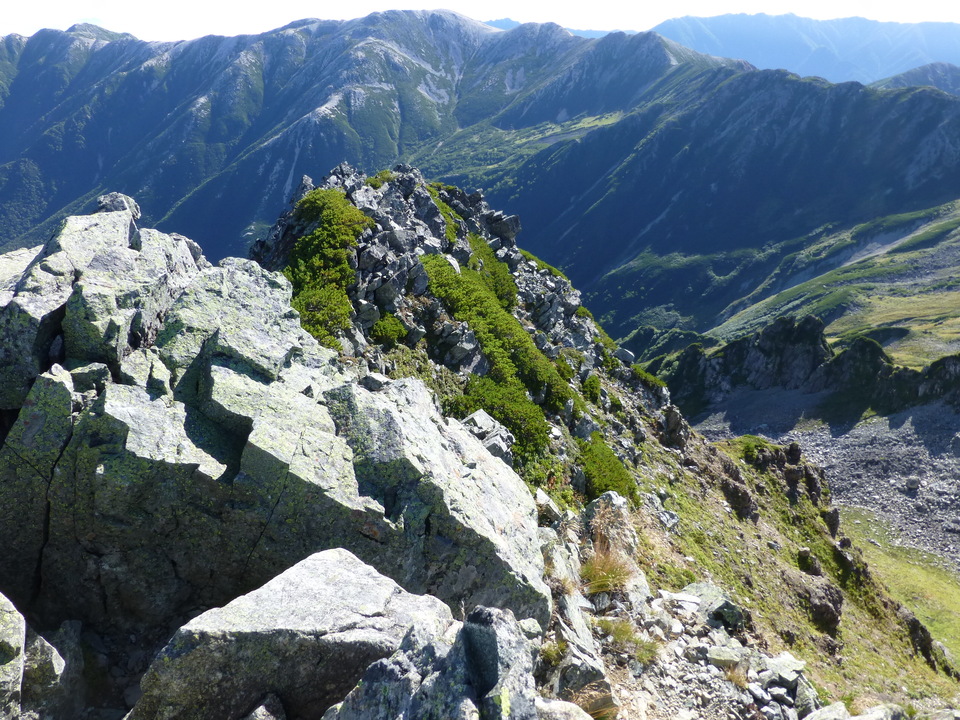 P1100873_mid.jpg