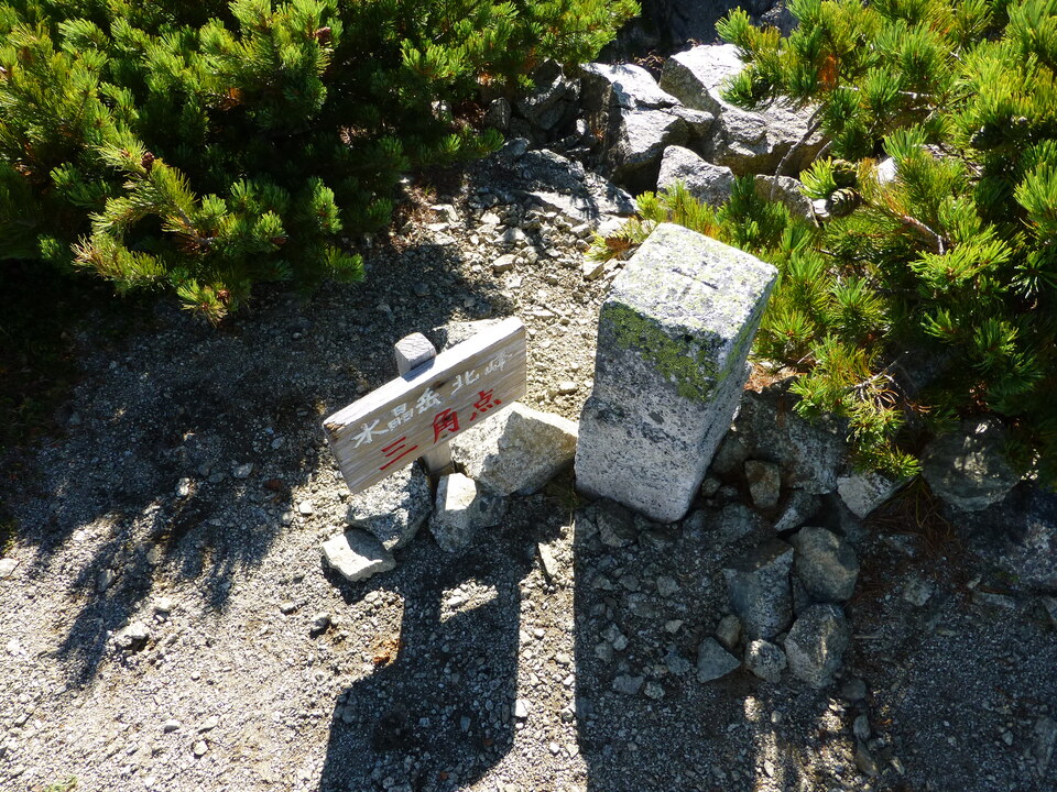P1100875_mid.jpg