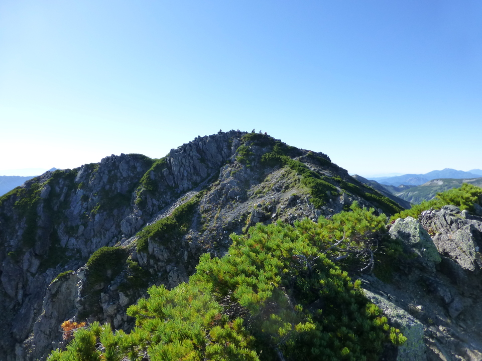 P1100876_mid.jpg