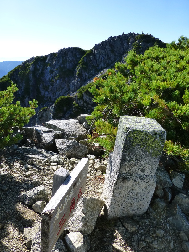 P1100879_mid.jpg