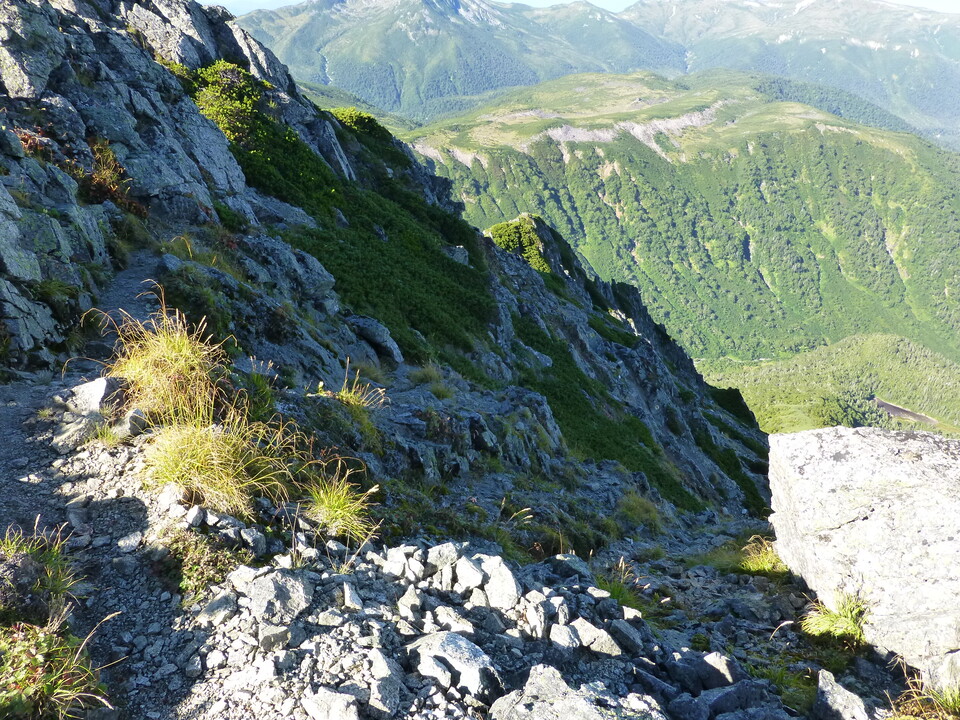 P1100881_mid.jpg