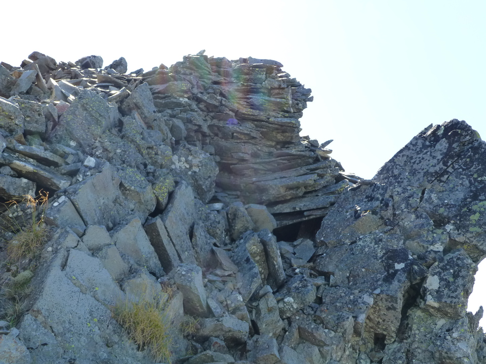 P1100886_mid.jpg