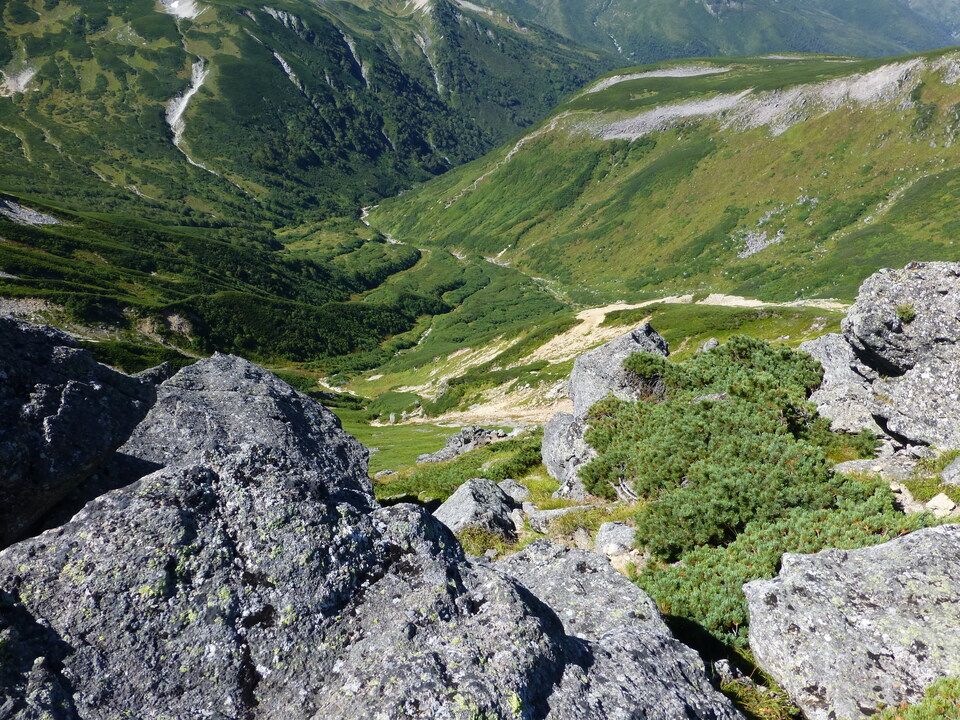 P1100891_mid.jpg