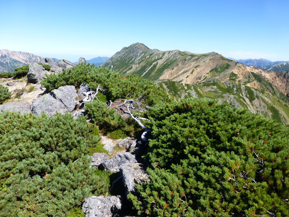 P1100896_mid.jpg
