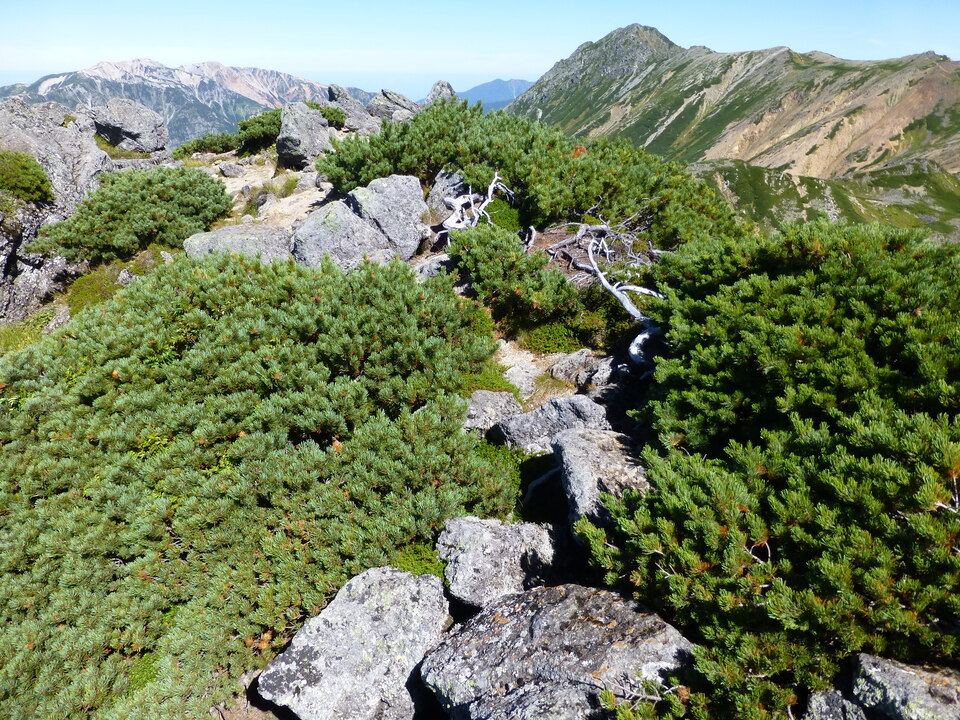 P1100897_mid.jpg