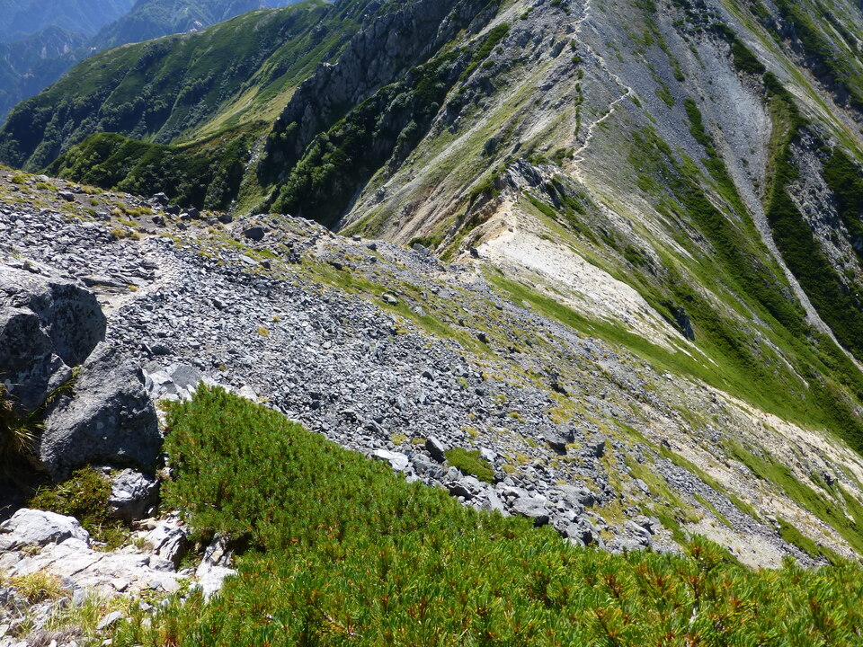 P1100899_mid.jpg