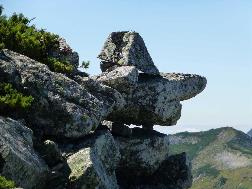 P1100923_mid.jpg