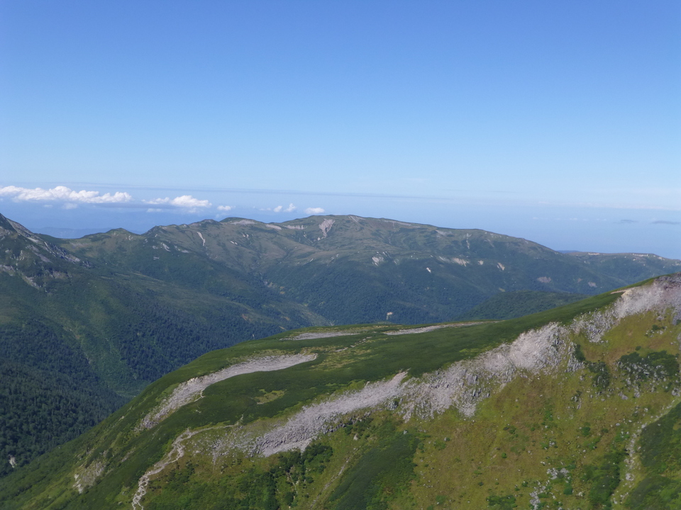 P1100936_mid.jpg