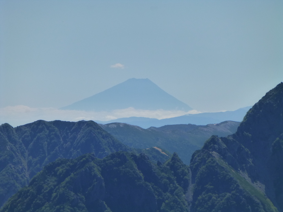 P1100946_mid.jpg