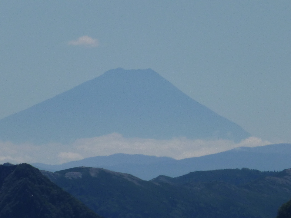 P1100947_mid.jpg