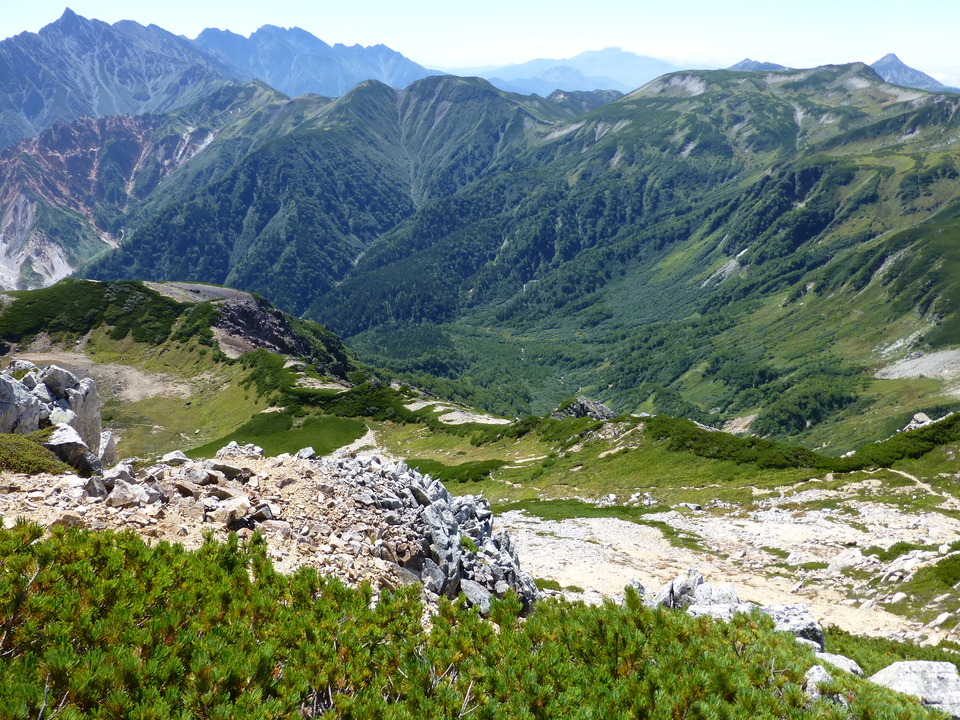 P1100964_mid.jpg