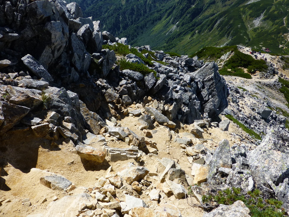 P1100965_mid.jpg