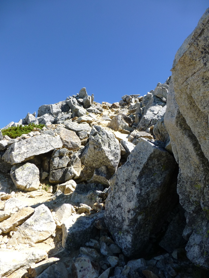 P1100967_mid.jpg