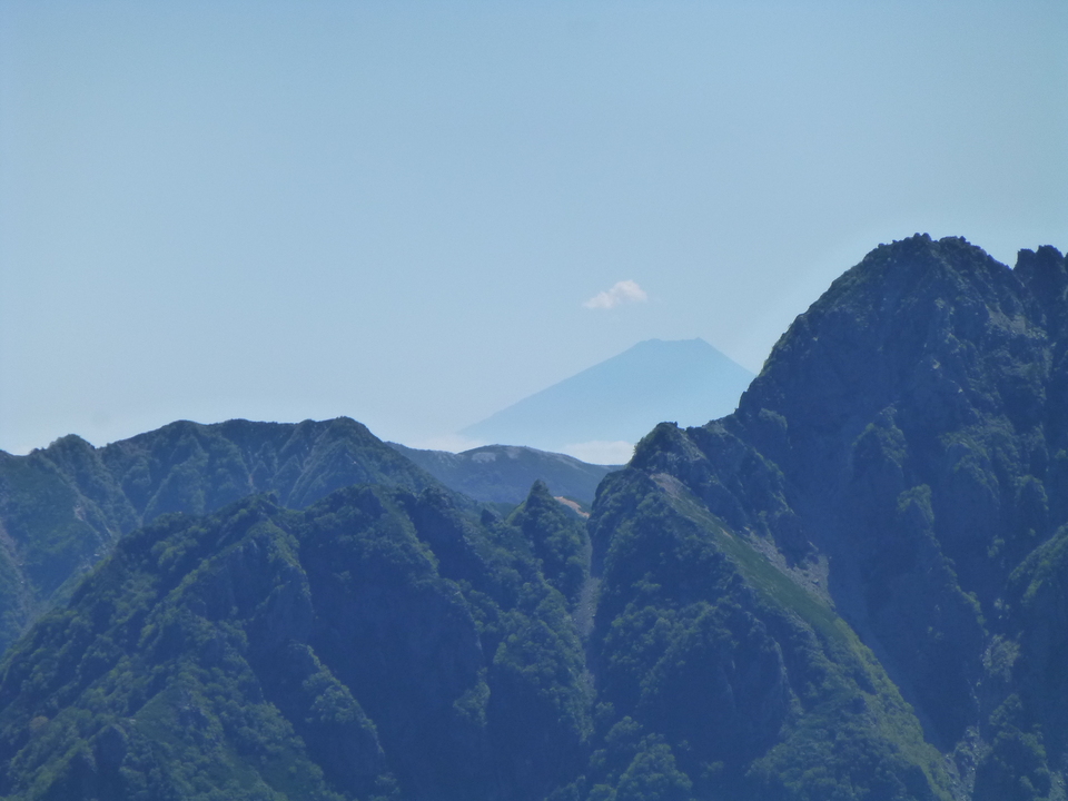 P1100976_mid.jpg