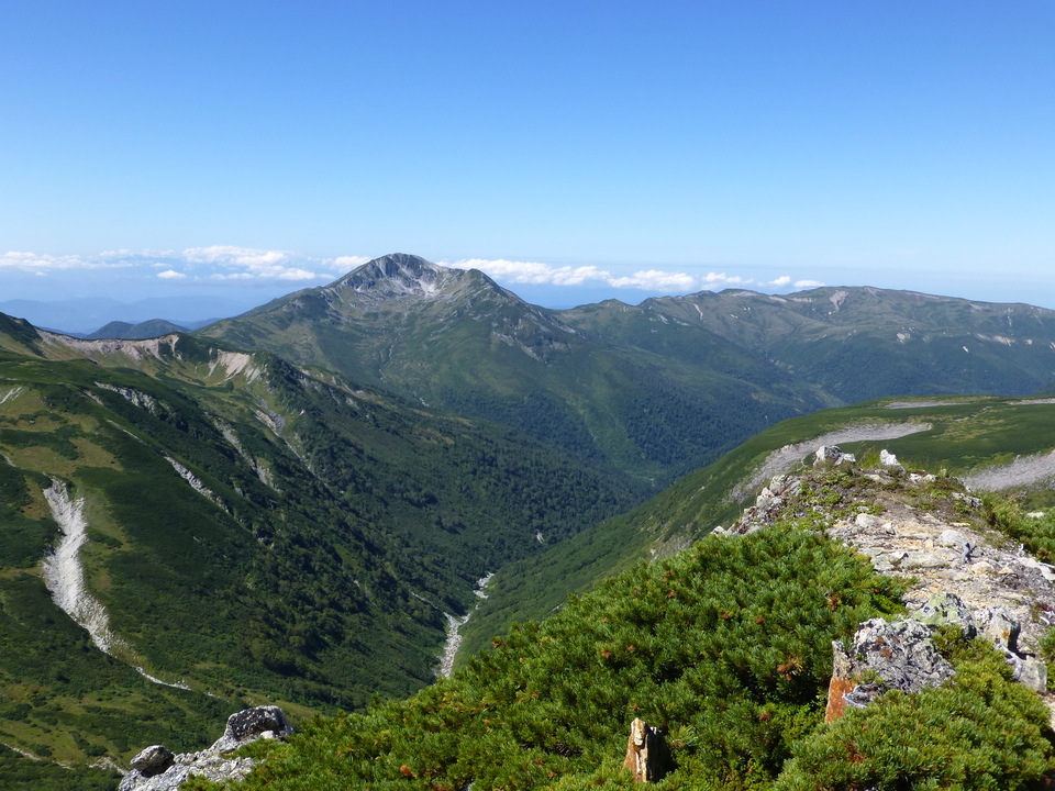 P1100980_mid.jpg
