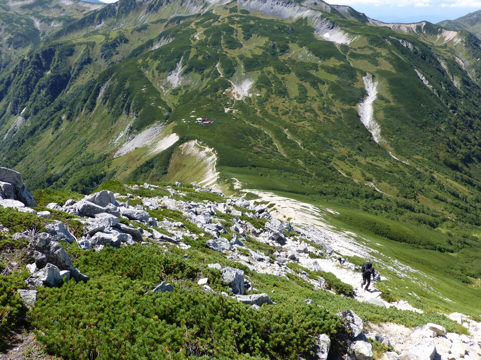 P1100987_mid.jpg