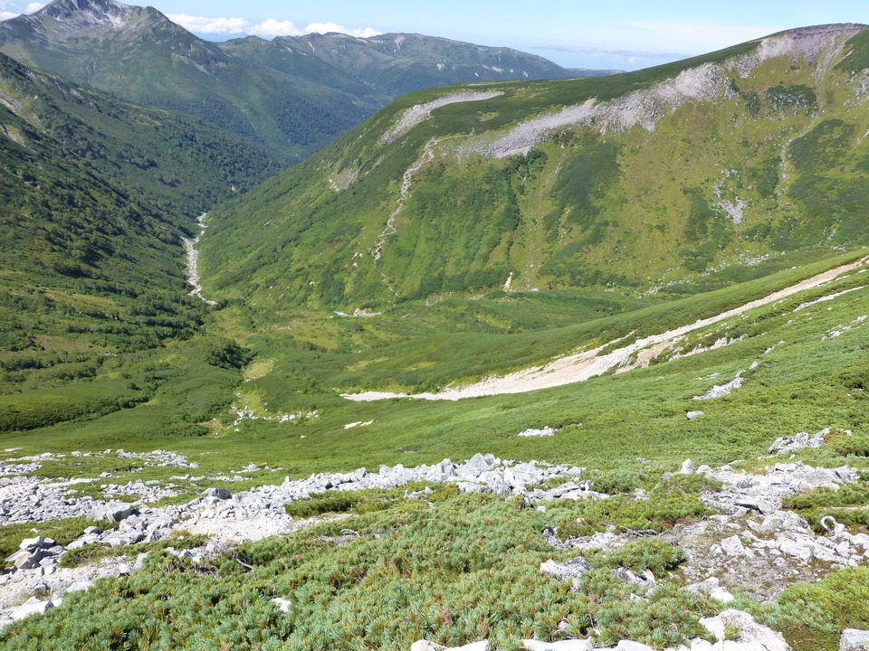 P1100990_mid.jpg