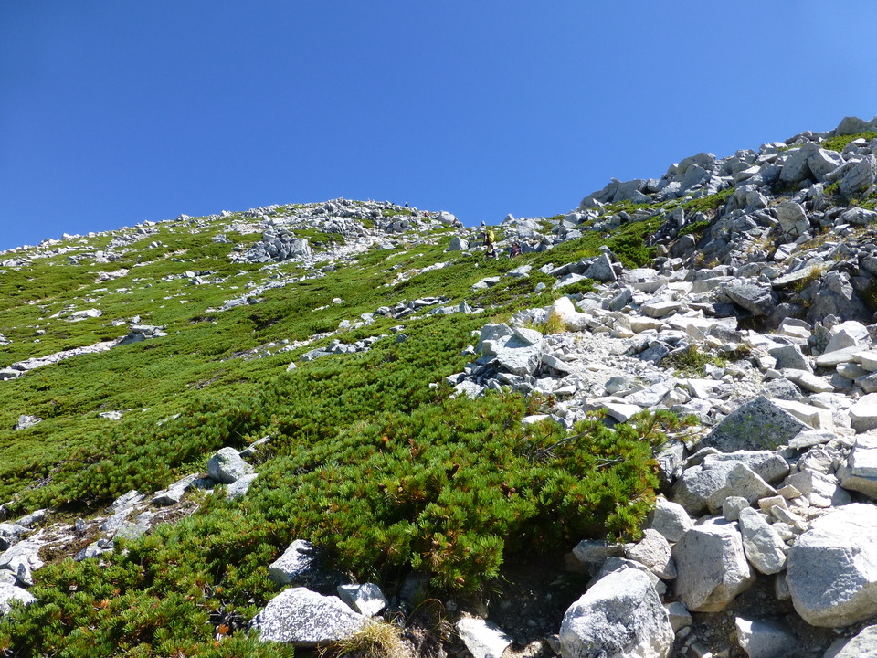 P1100991_mid.jpg
