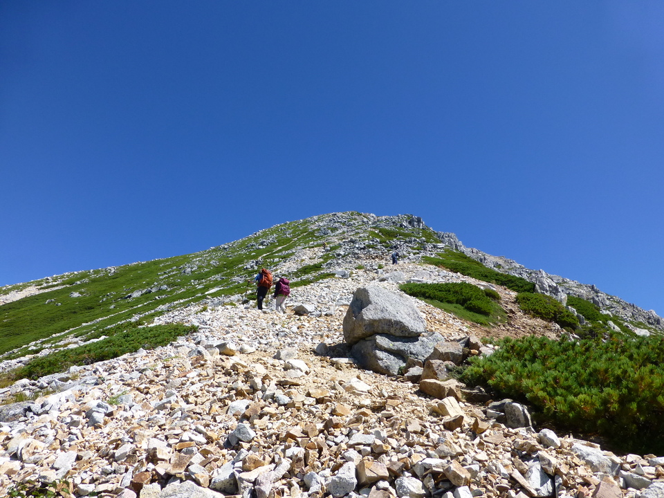 P1100992_mid.jpg