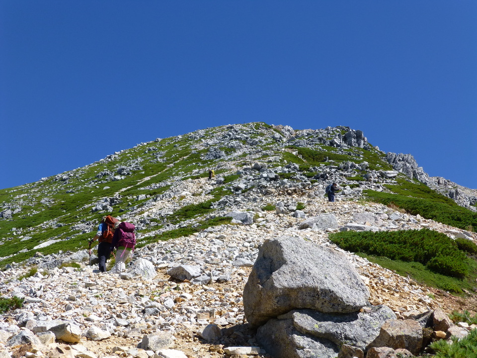 P1100993_mid.jpg