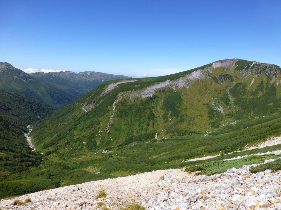 P1100995_mid.jpg