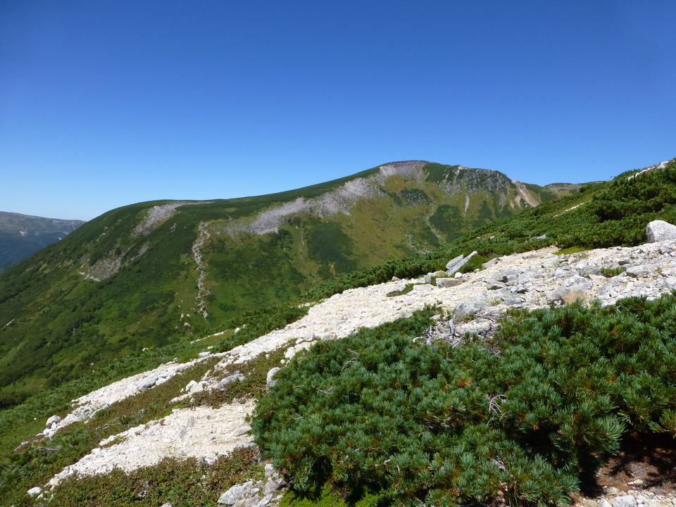 P1110002_mid.jpg