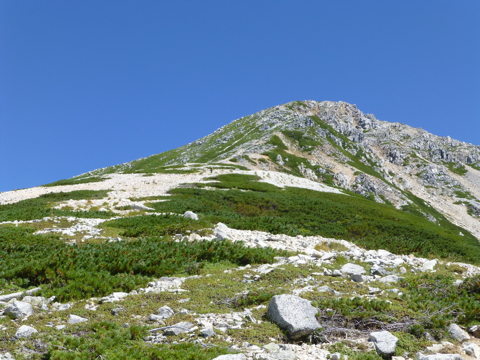 P1120002_mid.jpg