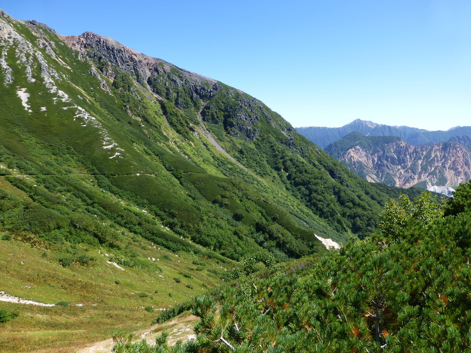P1120011_mid.jpg