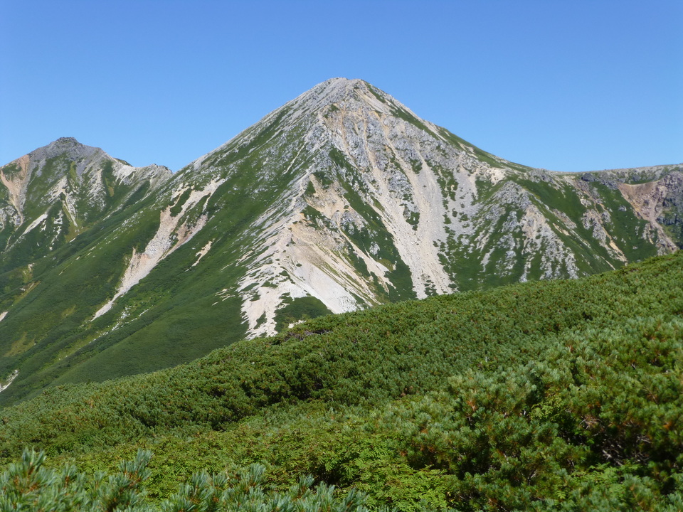 P1120014_mid.jpg