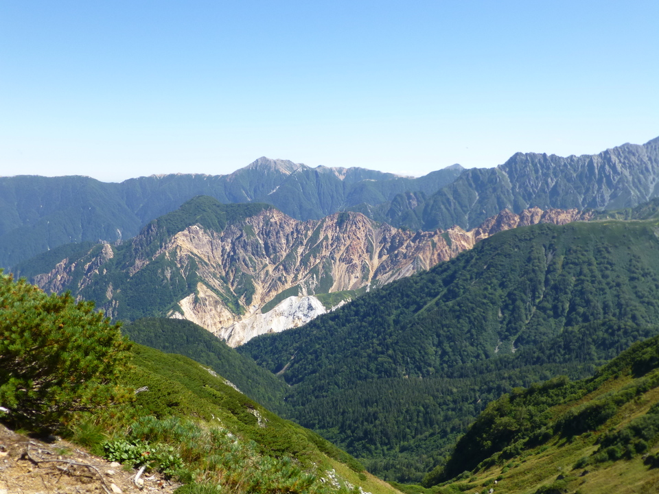 P1120020_mid.jpg