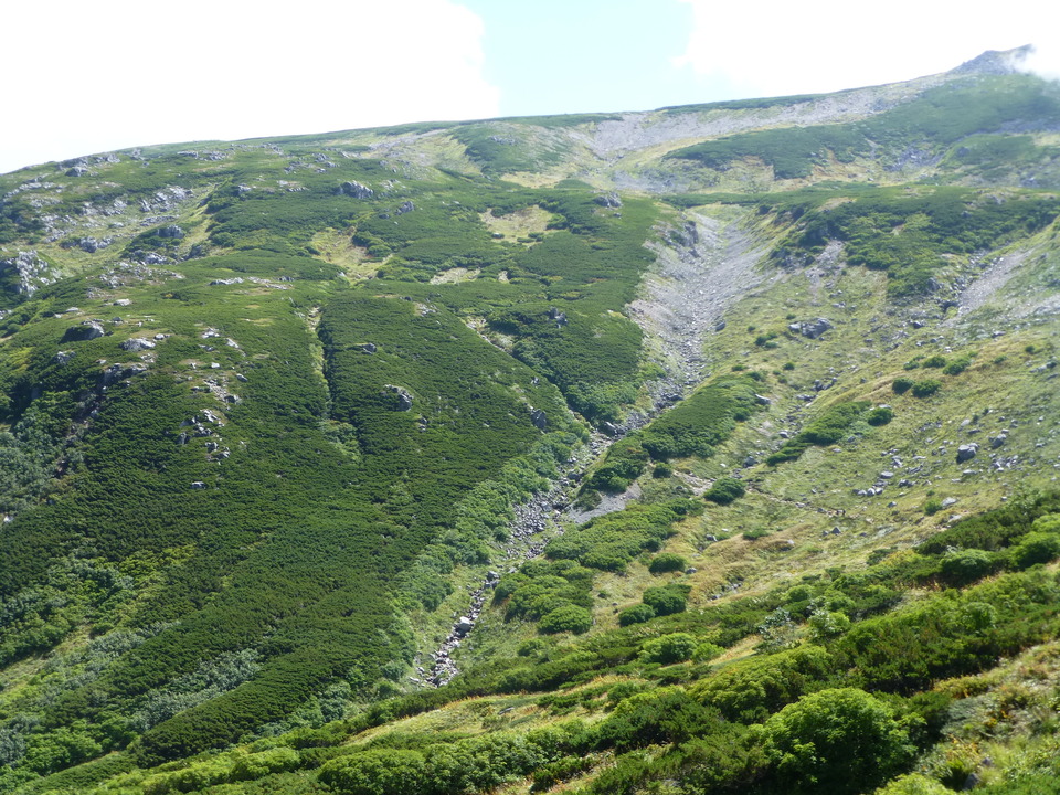 P1120038_mid.jpg