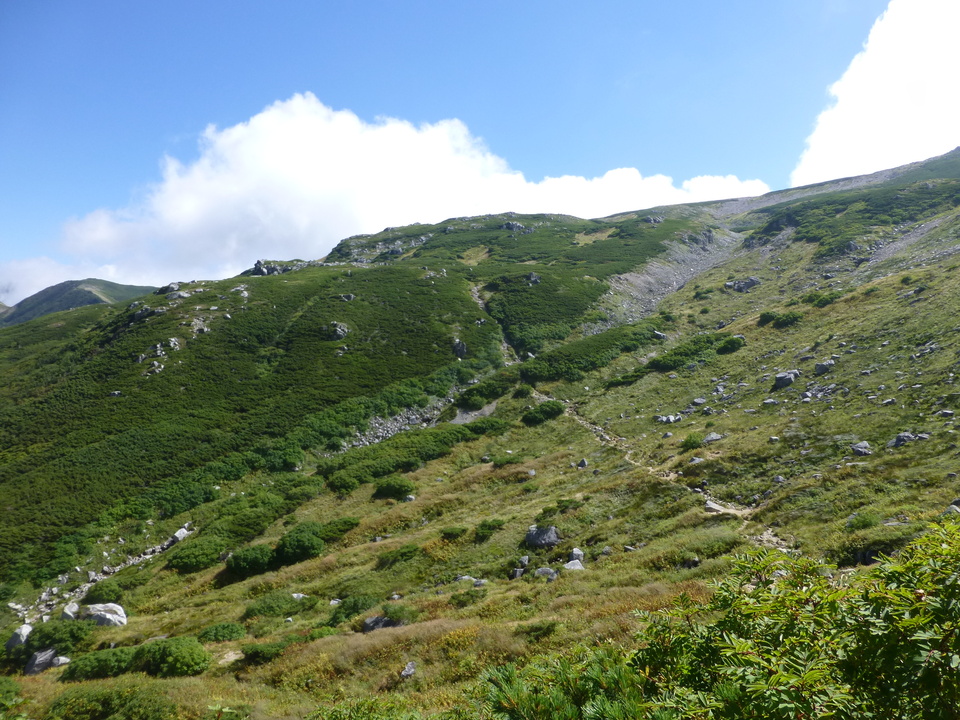 P1120039_mid.jpg