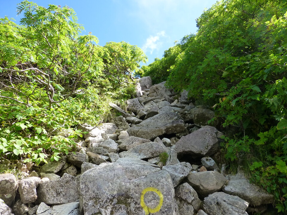 P1120042_mid.jpg