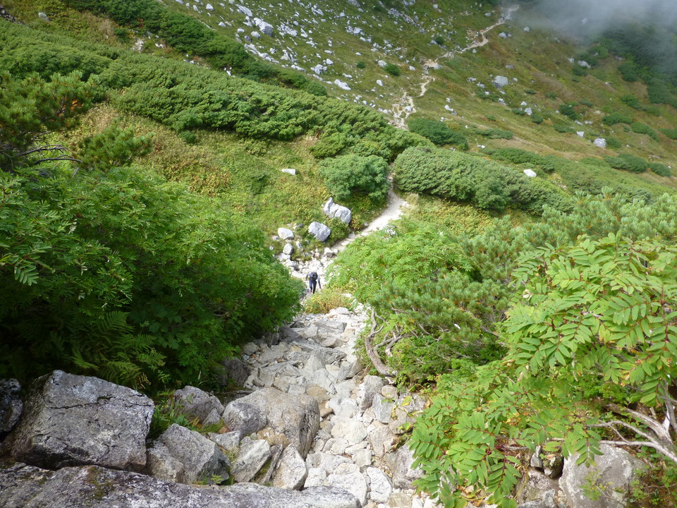 P1120043_mid.jpg