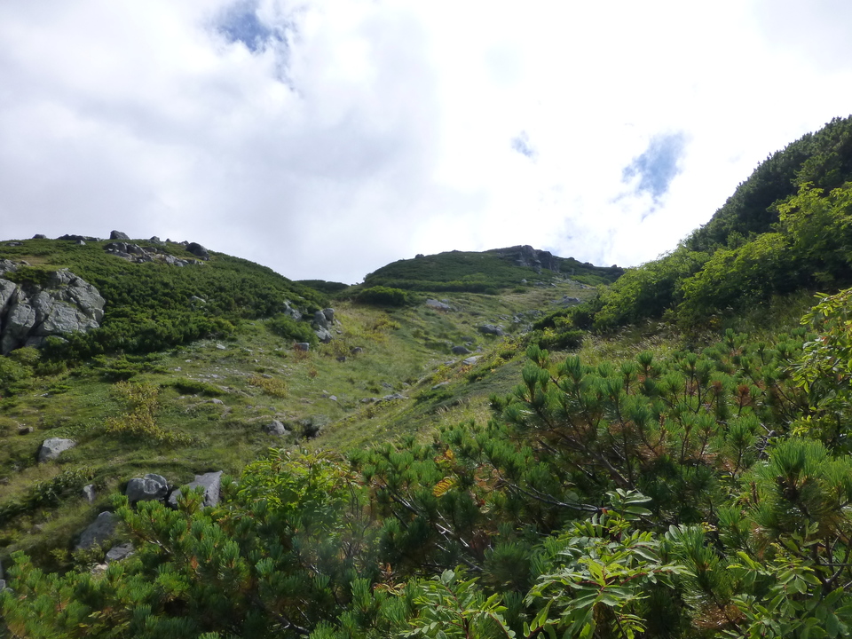 P1120048_mid.jpg