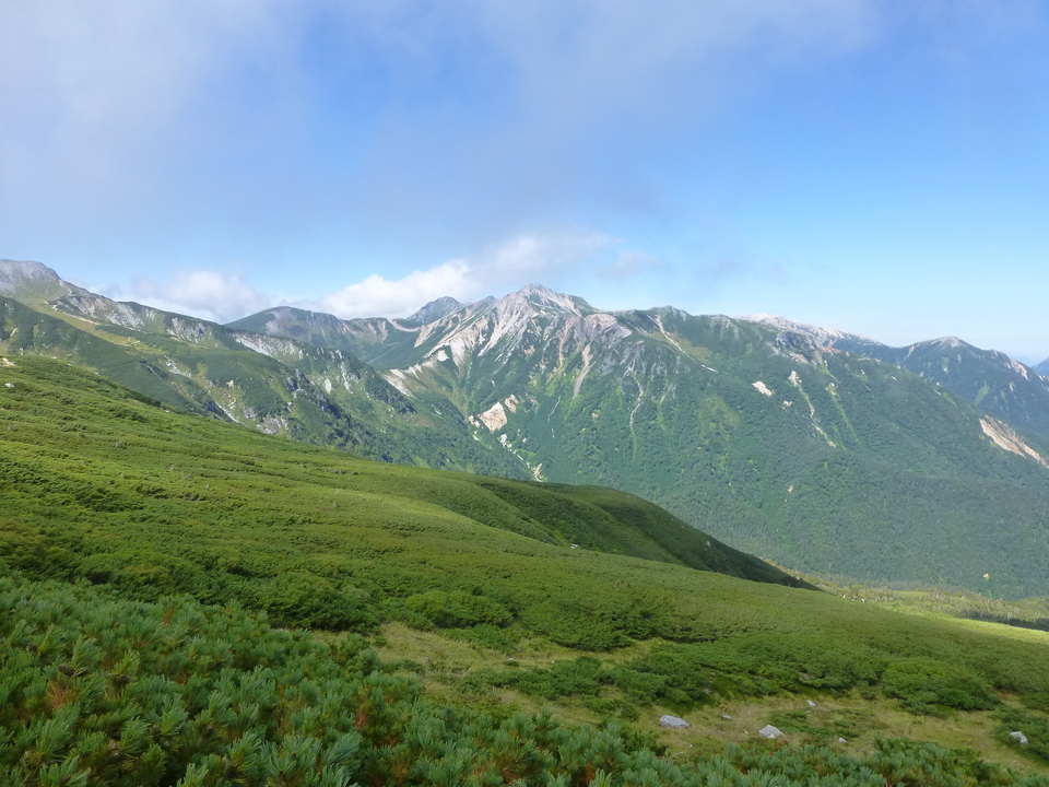 P1120052_mid.jpg