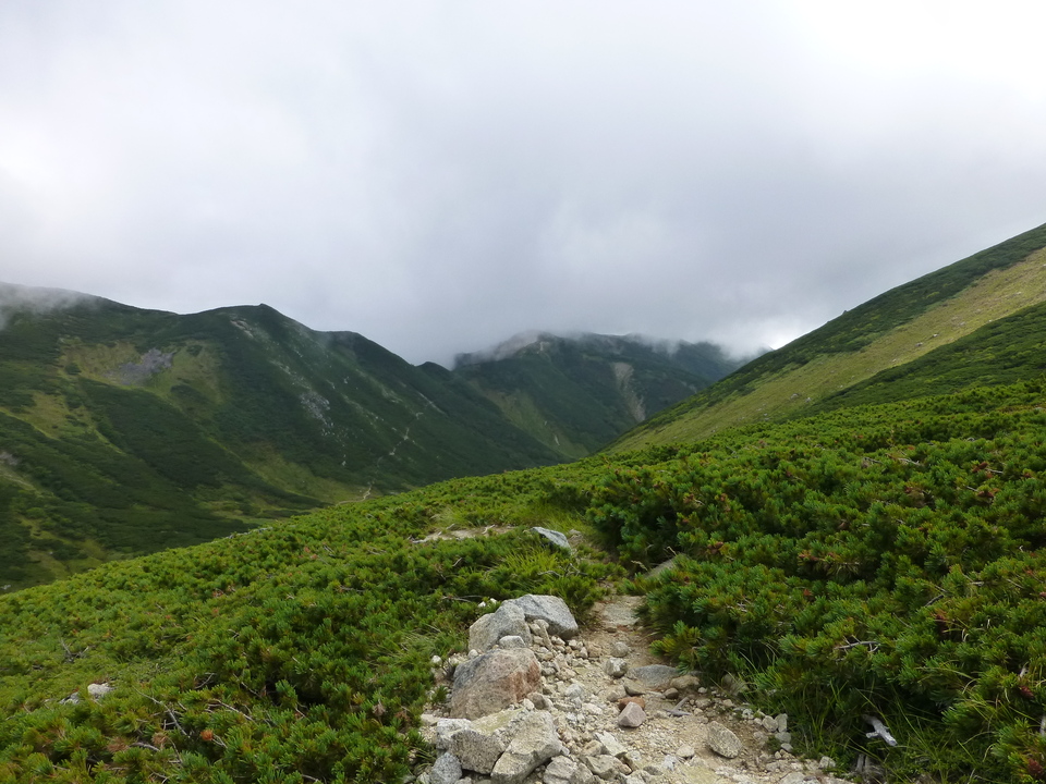 P1120058_mid.jpg