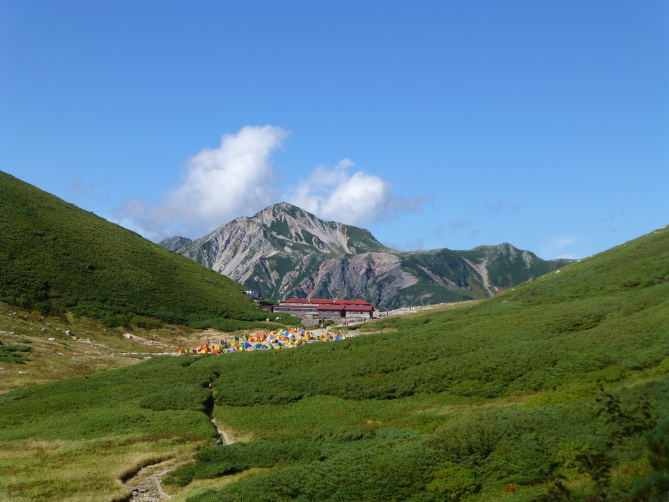 P1120069_mid.jpg