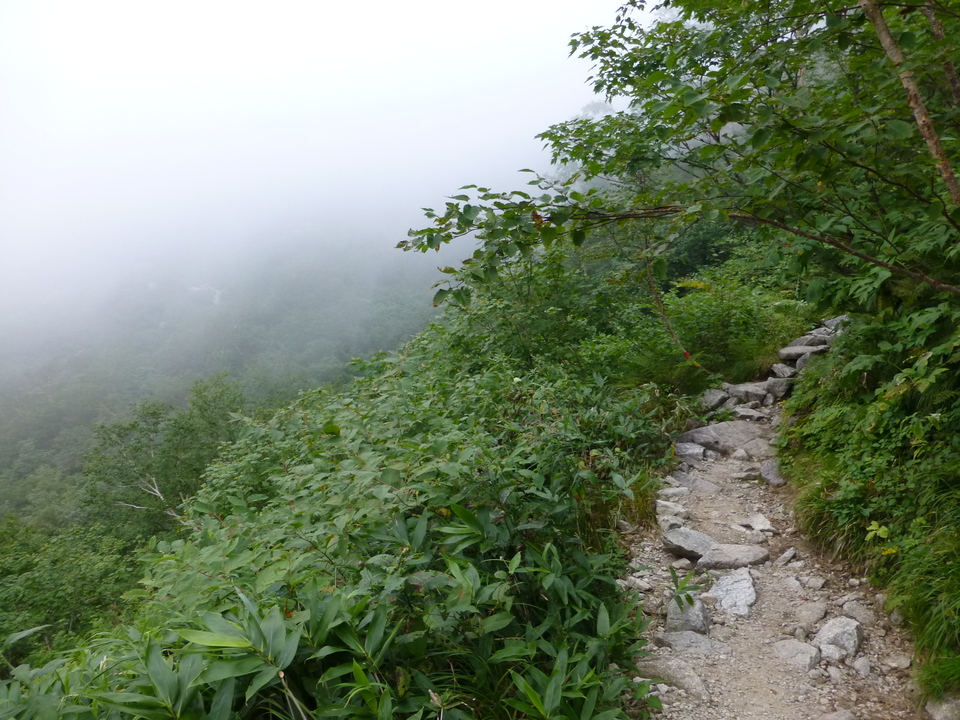 P1120105_mid.jpg