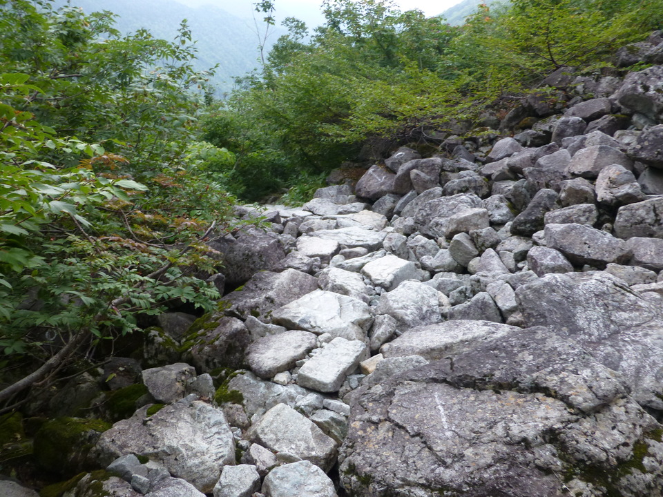 P1120110_mid.jpg