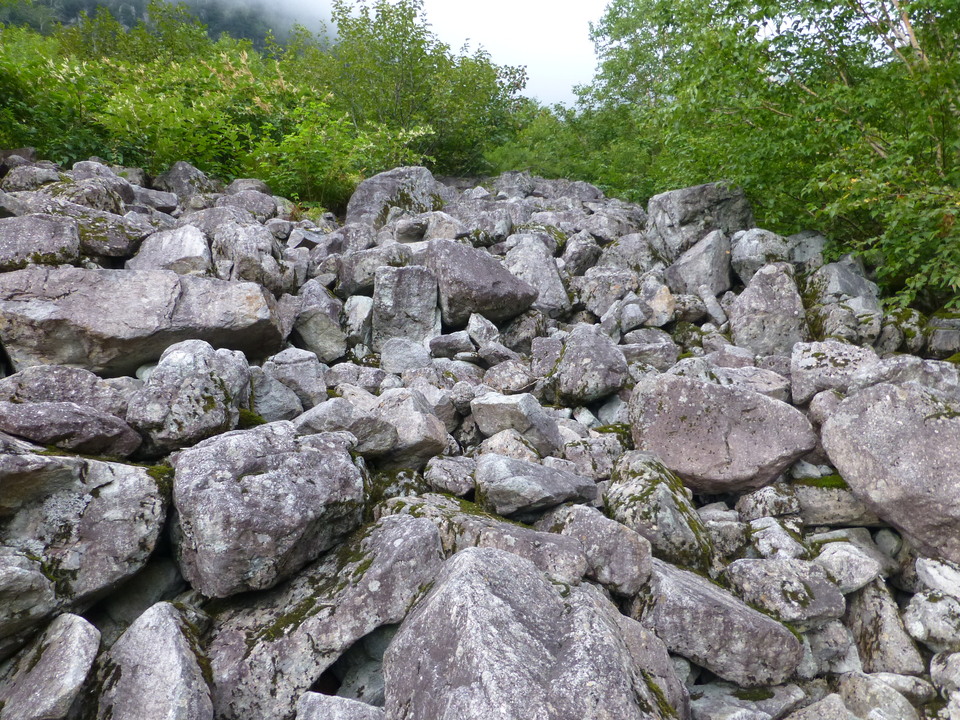 P1120111_mid.jpg