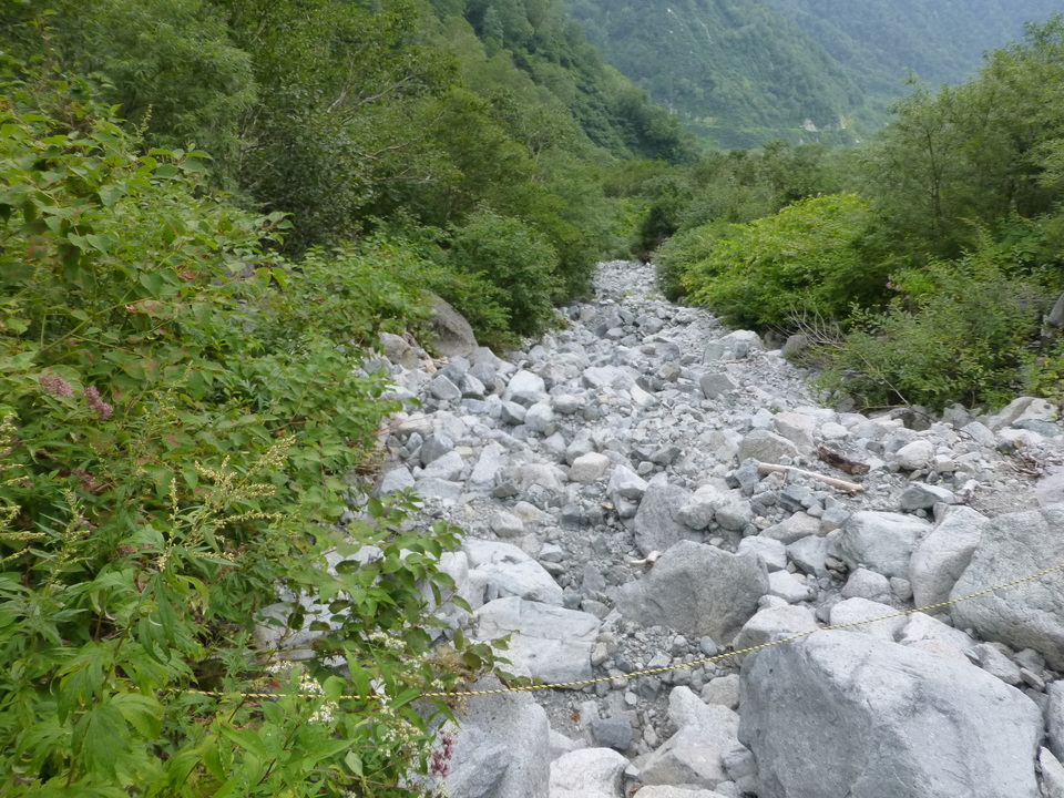P1120114_mid.jpg