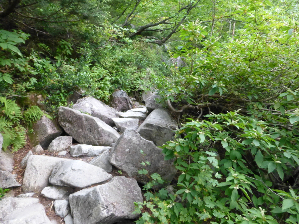 P1120117_mid.jpg