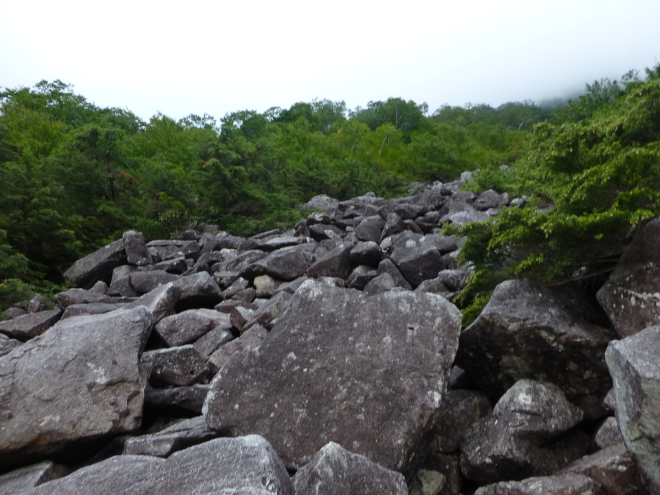 P1120119_mid.jpg