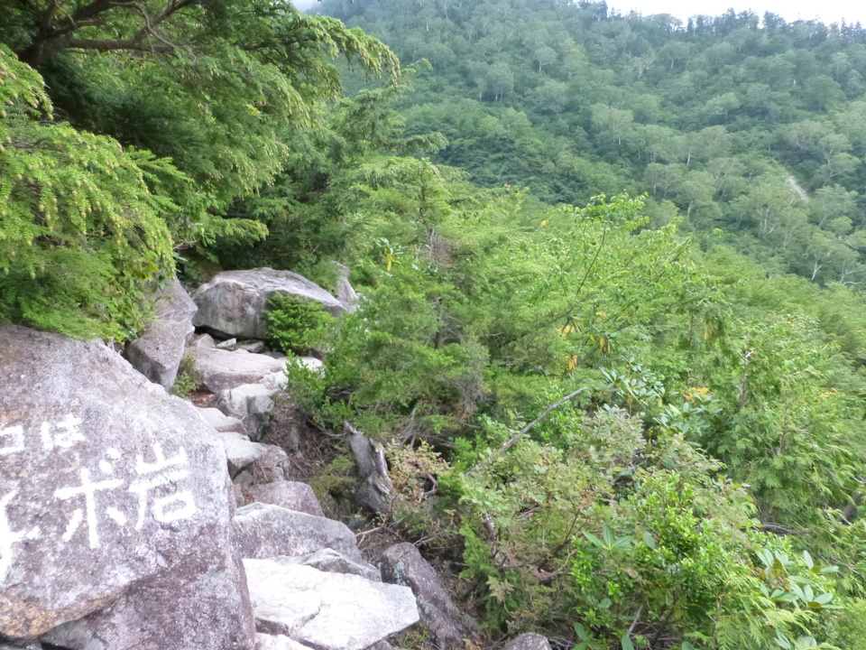 P1120120_mid.jpg