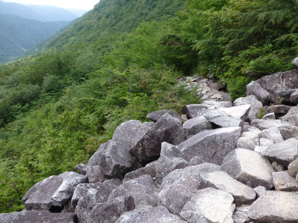 P1120121_mid.jpg