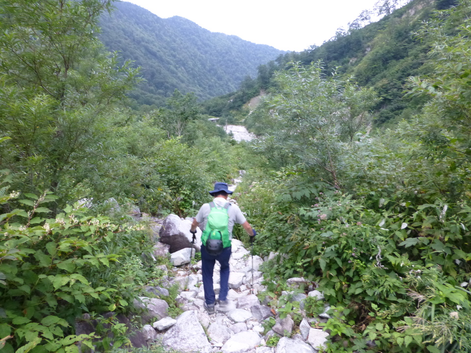 P1120122_mid.jpg