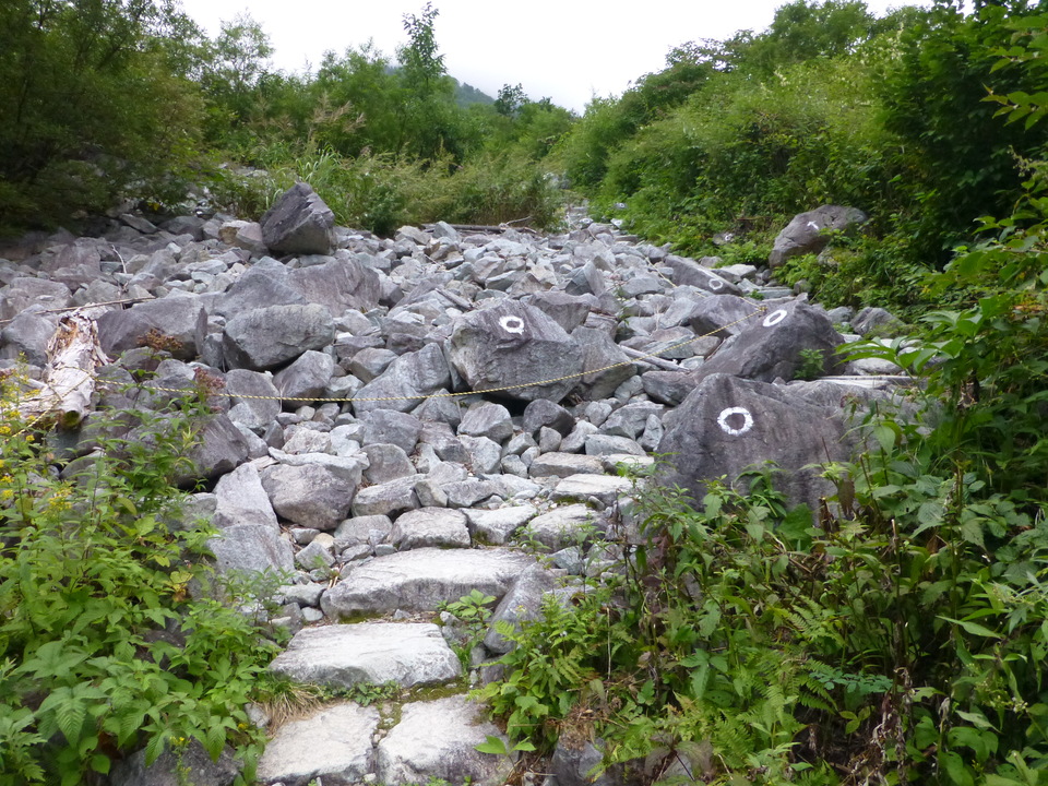 P1120123_mid.jpg