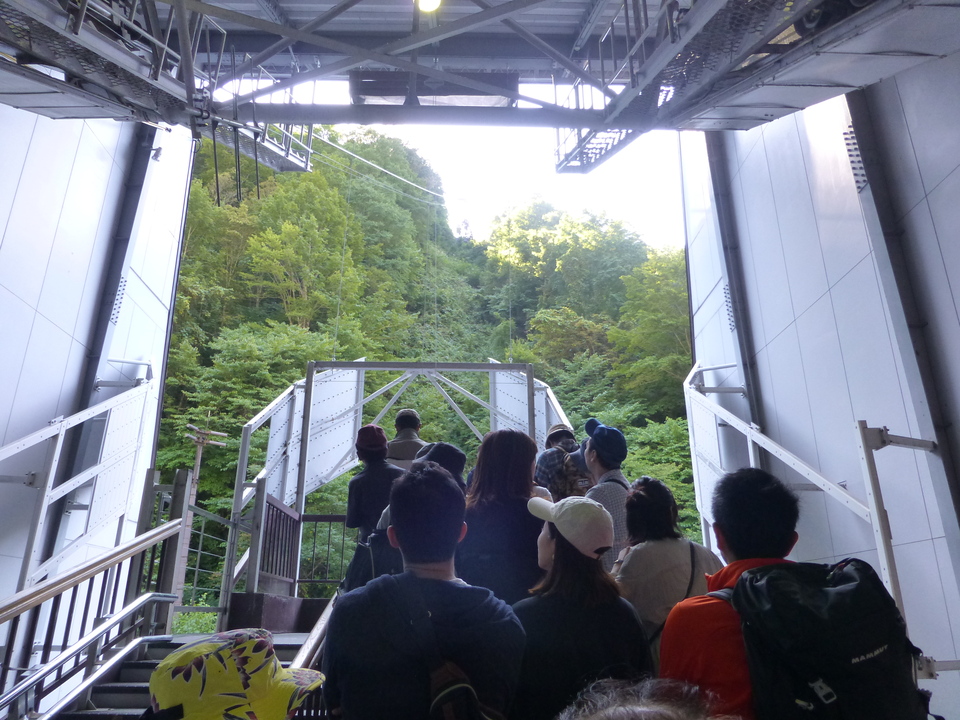 P1120137_mid.jpg